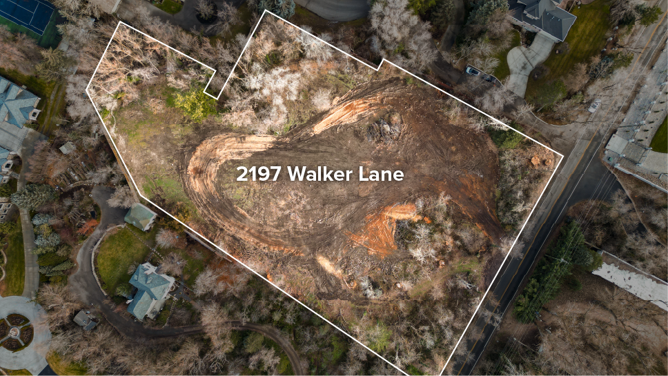 WalkerLane_Lots_V2_Smalll